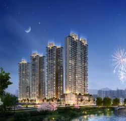 �����p����